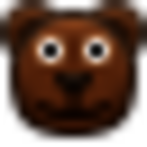 🐻